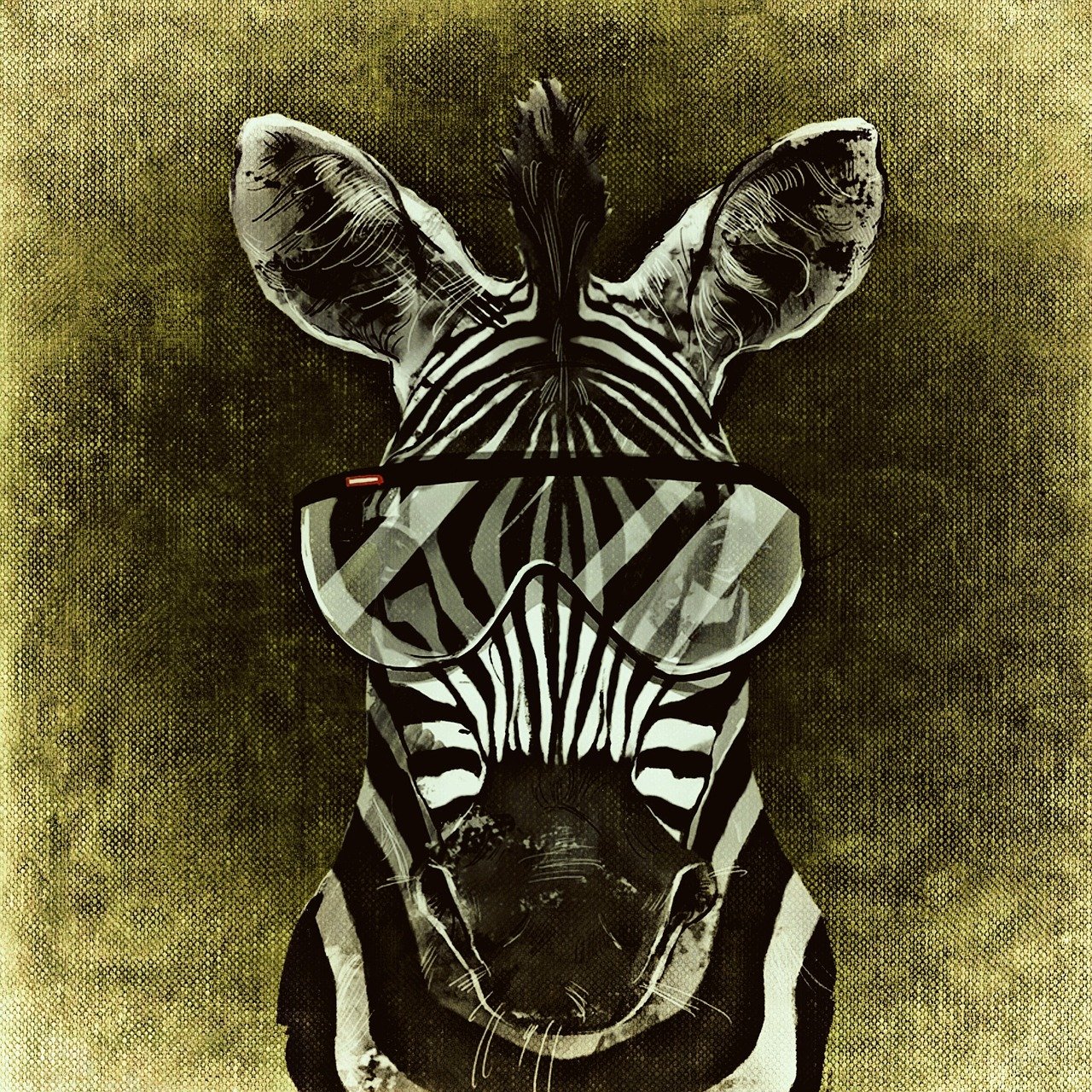 zebra, cool, abstract-1235245.jpg